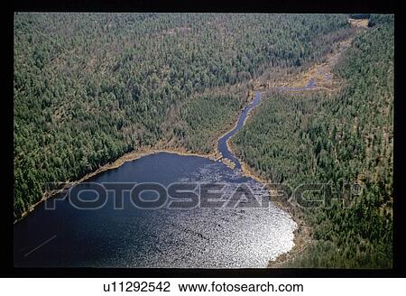 Stock Image - Aerial view of river through forest. Fotosearch