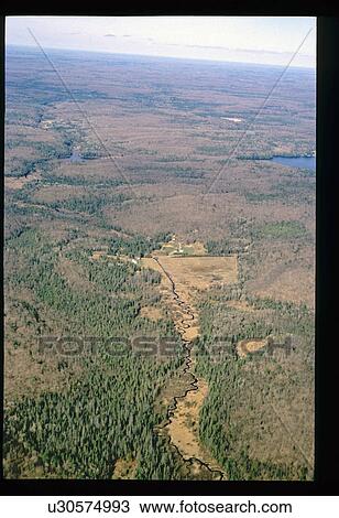 Stock Image - Aerial view of river through forest. Fotosearch