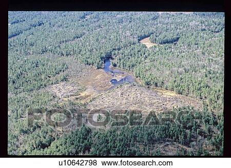 Stock Photo - Aerial view of river through forest. Fotosearch