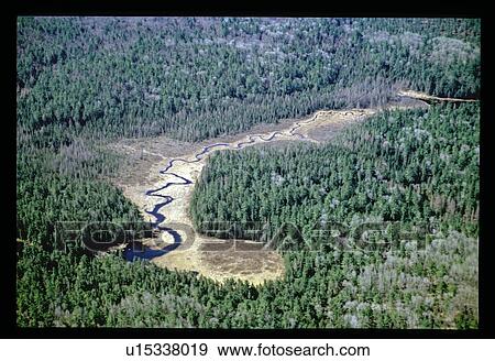 Stock Photo - Aerial view of river through forest. Fotosearch