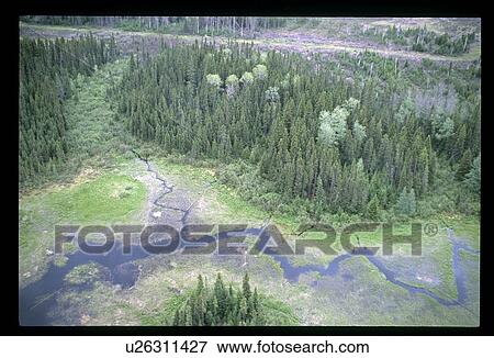 Aerial view of river through forest View Large Photo Image Stock Photo - Aerial view of river through forest. Fotosearch