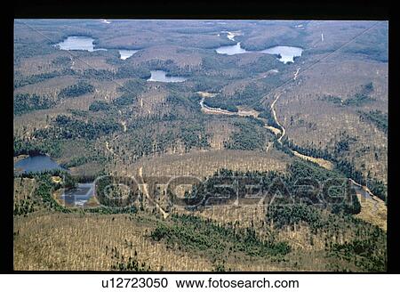 Stock Image - Aerial view of river through trees. Fotosearch