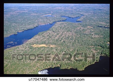 Aerial view of river through trees View Large Photo Image Stock Photograph - Aerial view of river through trees. Fotosearch
