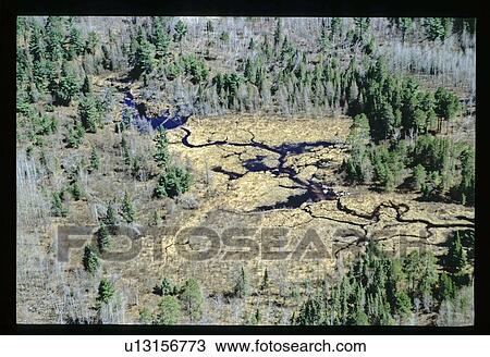 Stock Image - Aerial view of riverbed through forest. Fotosearch