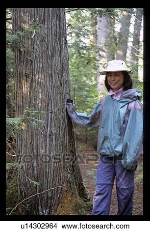 Asian woman by a tree View Large Photo Image Picture - Asian woman by a tree. Fotosearch