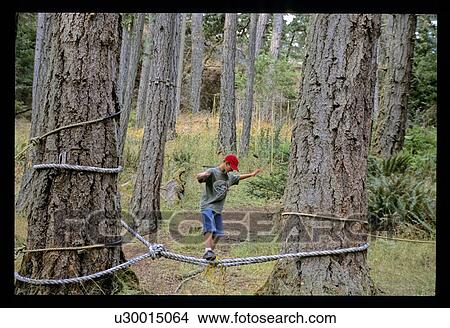 Boy in the forest View Large Photo Image Picture - Boy in the forest. Fotosearch