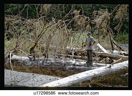 Stock Photograph - Boy with logs on a shoreline . Fotosearch
