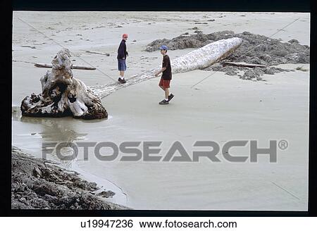 Boys playing in the water View Large Photo Image Stock Photograph - Boys playing in the water. Fotosearch