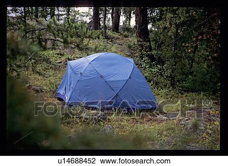 Camping in the woods View Large Photo Image Stock Image - Camping in the woods. Fotosearch