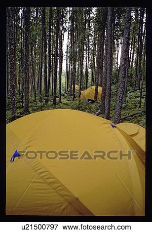 Camping in the woods View Large Photo Image Stock Photo - Camping in the woods. Fotosearch