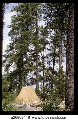 Stock Photo - Camping in the woods. Fotosearch