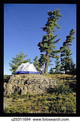 Picture - Camping. Fotosearch