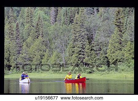 Stock Photo - Canoeing by pine trees. Fotosearch