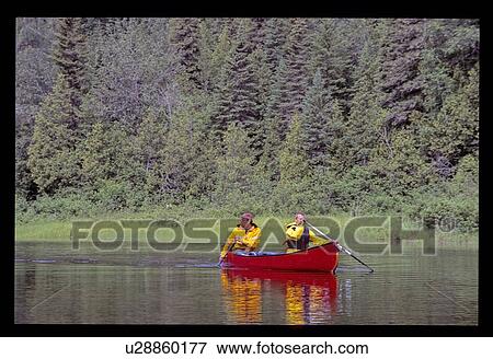 Stock Photo - Canoeing by pine trees. Fotosearch