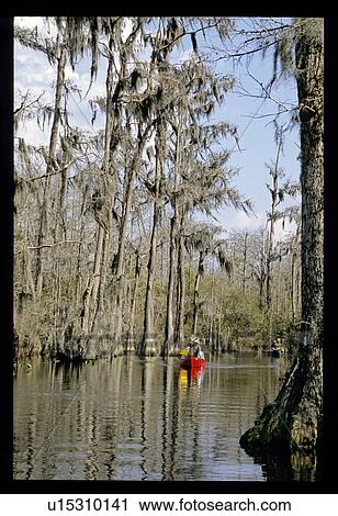 Canoes on the river View Large Photo Image Stock Image - Canoes on the river. Fotosearch