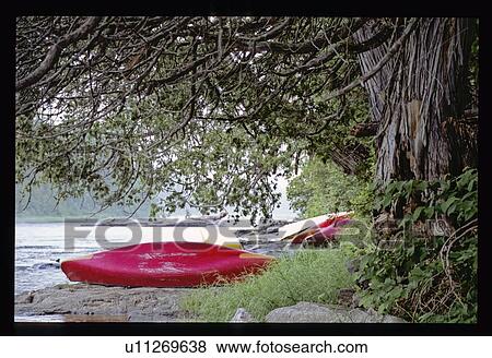 Canoes on the shore View Large Photo Image Stock Photo - Canoes on the shore. Fotosearch