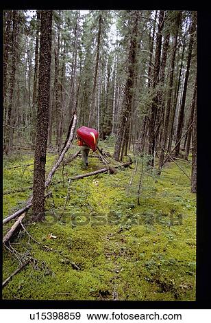 Stock Photo - Carrying a canoe in the forest . Fotosearch