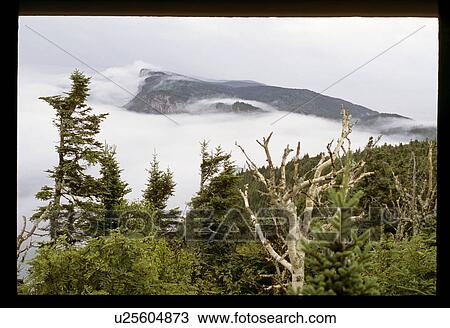 Stock Image - Cliffside view. Fotosearch