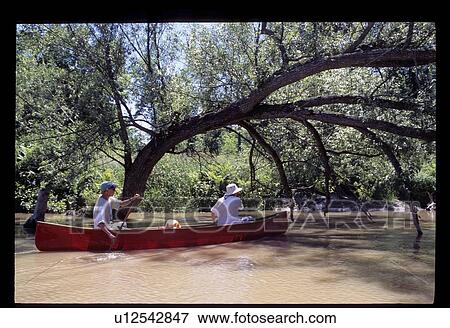 Couple canoeing View Large Photo Image Stock Photo - Couple canoeing . Fotosearch
