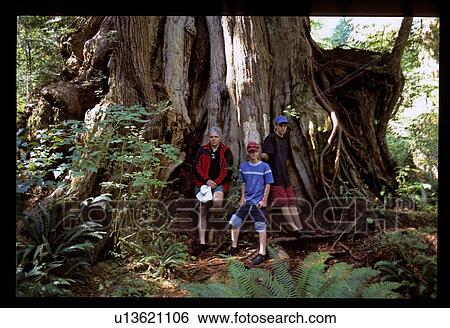 Stock Photograph - Dad and his boys by a tree. Fotosearch