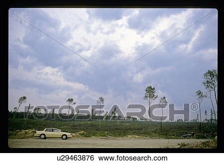 Stock Photograph - Driving past a forest clearing . Fotosearch