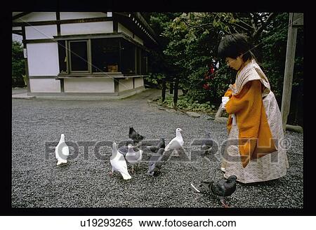 Feeding birds View Large Photo Image Stock Photography - Feeding birds. Fotosearch