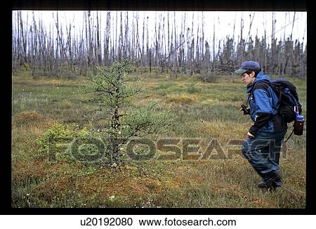 Stock Image - Female hiker. Fotosearch