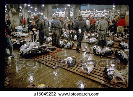 Stock Image - Fish market. Fotosearch