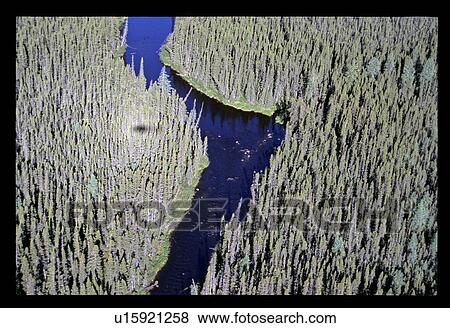 Stock Photo - Fly over of a river through a forest. Fotosearch