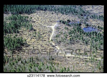 Stock Photo - Flying over a forest clearing. Fotosearch