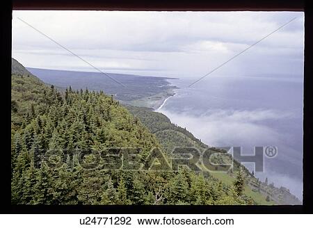 Flying over a forest coast View Large Photo Image Stock Image - Flying over a forest coast. Fotosearch