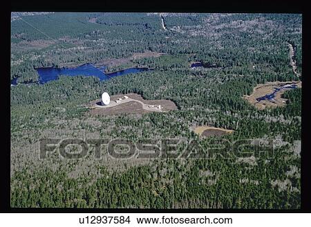 Flying over a forest View Large Photo Image Picture - Flying over a forest. Fotosearch
