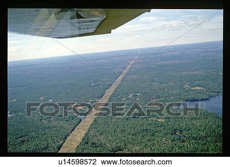 Stock Image - Flying over a forest. Fotosearch