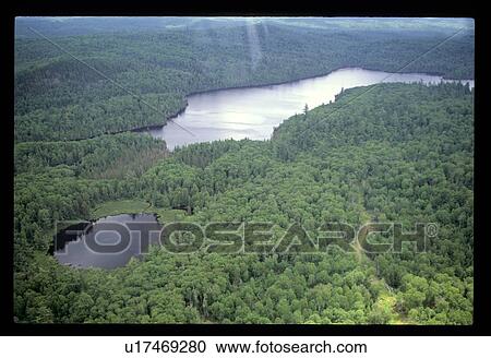 Flying over a forest View Large Photo Image Stock Image - Flying over a forest . Fotosearch