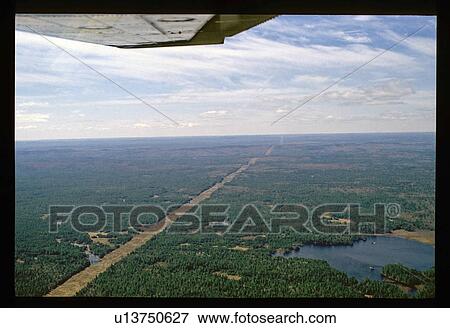 Flying over a forest View Large Photo Image Stock Photo - Flying over a forest. Fotosearch