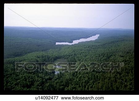 Flying over a forest View Large Photo Image Stock Photo - Flying over a forest. Fotosearch
