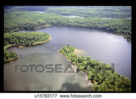 Flying over a forest View Large Photo Image Stock Photo - Flying over a forest. Fotosearch