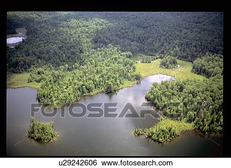 Stock Photograph - Flying over a forest. Fotosearch