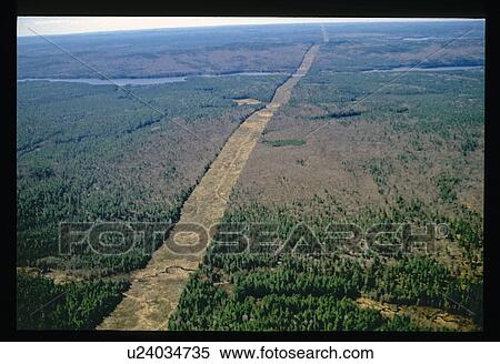 Stock Photography - Flying over a forest. Fotosearch