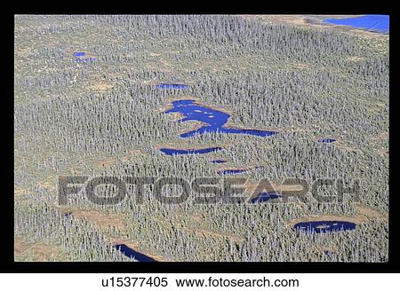 Stock Photography - Flying over a lake in a forest. Fotosearch