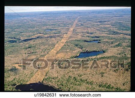Stock Image - Flying over a park. Fotosearch