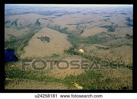 Stock Image - Flying over a river. Fotosearch