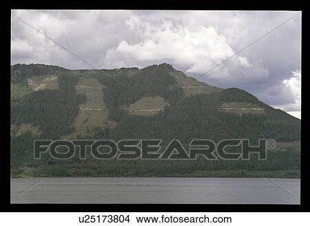 Picture - Foggy coast. Fotosearch