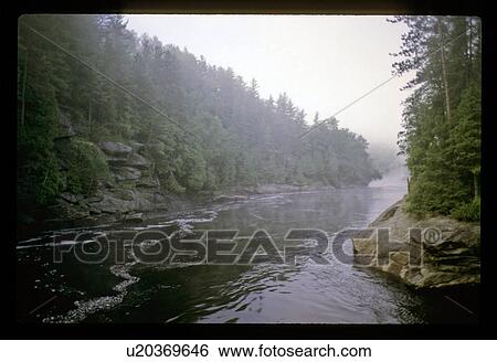 Foggy forest with a river View Large Photo Image Stock Photograph - Foggy forest with a river. Fotosearch