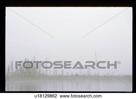 Stock Image - Foggy lake. Fotosearch