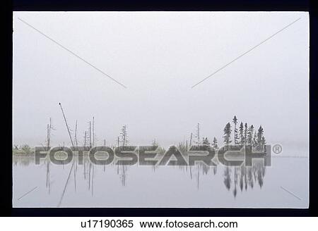 Stock Photography - Foggy lake. Fotosearch
