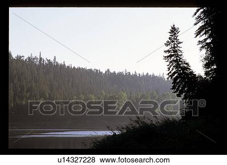 Forest around a lake View Large Photo Image Stock Photo - Forest around a lake. Fotosearch