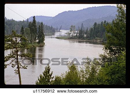Forest lake View Large Photo Image Stock Image - Forest lake. Fotosearch