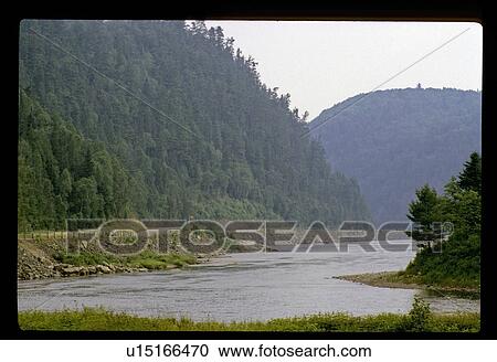 Stock Image - Forest lake. Fotosearch