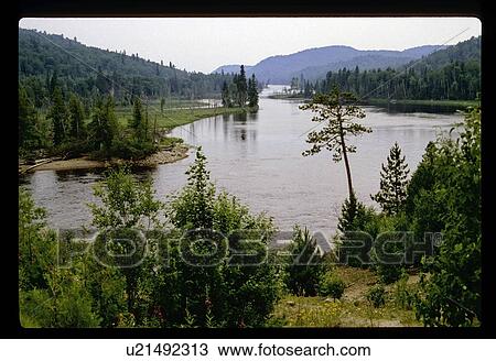 Forest lake View Large Photo Image Stock Image - Forest lake. Fotosearch